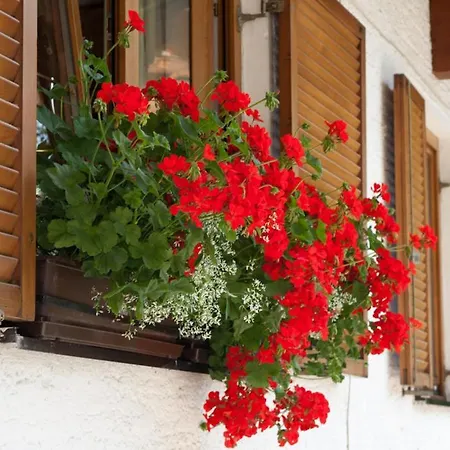 Apartment Haus Wendelin Fulpmes